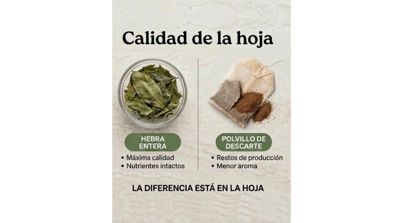 Menos café, más bienestar: cómo Maktub Blends capitaliza el crecimiento de las bebidas sin cafeína en Argentina