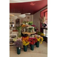 Dei Fiori, donde las flores y la gastronomía se encuentran