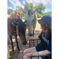 FUNDACIÓN AL REPARO TERAPIAS ECUESTRES: cómo las terapias con caballos mejoran el bienestar y la conexión humana