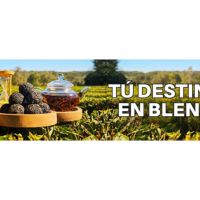 Menos café, más bienestar: cómo Maktub Blends capitaliza el crecimiento de las bebidas sin cafeína en Argentina