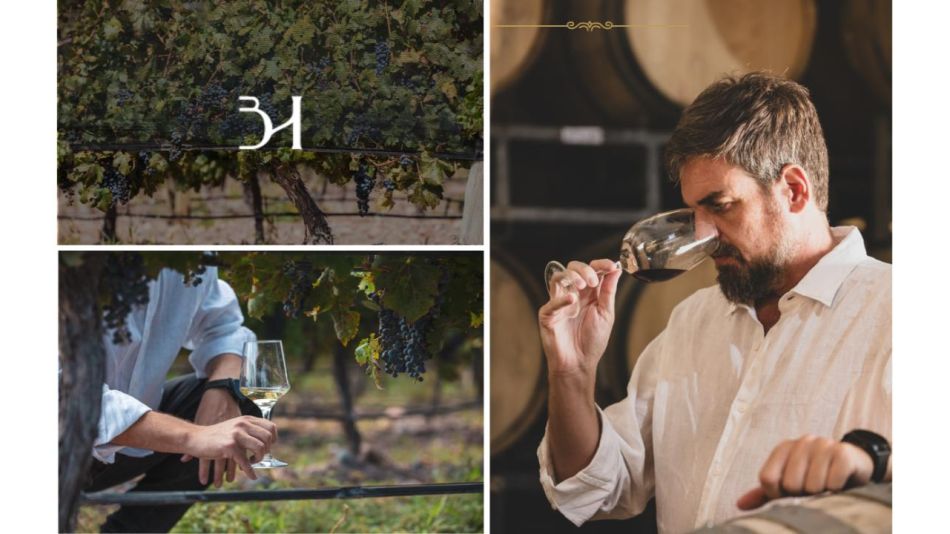 Inversión inteligente: Invertir en vino