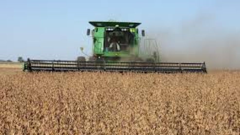 El sector agropecuario tocó el nivel más alto de confianza en casi una década.