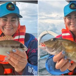 No se trata de ejemplares gigantes, pero sí de una pesca técnica y entretenida, donde la rapidez es clave para evitar que los peces vuelvan a refugiarse entre las rocas o el coral.