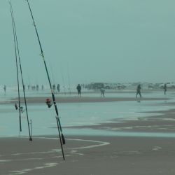 La zona de pesca se extenderá desde la bajada de pescadores hasta las inmediaciones del Río Quequén Salado, ofreciendo un amplio frente costero libre de enganches. (Fotos: Gentileza Pasión por la Pesca de Tres Arroyos).