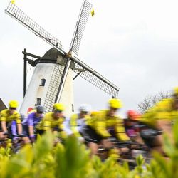 El pelotón de ciclistas pedalea durante la carrera femenina de la prueba de ciclismo de un día del UCI WorldTour «Ronde van Vlaanderen/Tour des Flandres/Tour of Flanders», de 164,1 km, con salida y llegada en Oudenaarde, Bélgica. | Foto:JASPER JACOBS / Belga / AFP