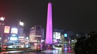Obelisco violeta