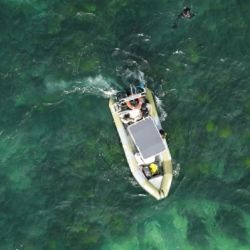 La campaña busca ponerles identidad y frenar el deterioro de los bosques en todo el mundo.