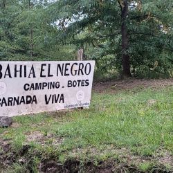 Córdoba reafirma su lugar como uno de los grandes polos de pesca del país. Con una oferta variada de ambientes, servicios en crecimiento y un recurso que muestra signos claros de recuperación, la provincia se prepara para una temporada invernal que puede ser muy destacada.