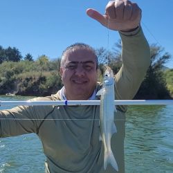 Córdoba reafirma su lugar como uno de los grandes polos de pesca del país. Con una oferta variada de ambientes, servicios en crecimiento y un recurso que muestra signos claros de recuperación, la provincia se prepara para una temporada invernal que puede ser muy destacada.