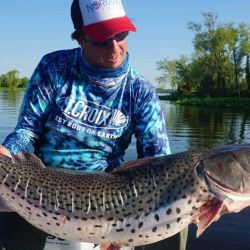 La fiesta tendrá muchas novedades. Entre ellas, la incorporación de una app para navegantes, control con drones y monitoreo en tiempo real para garantizar el orden y la seguridad del concurso. 