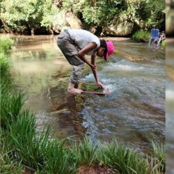 El trabajo analizó comunidades de plantas sumergidas de la familia Podostemáceas, un grupo que crece adherido a rocas en ríos y arroyos de aguas rápidas, típicos de regiones tropicales y subtropicales.