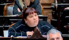 Diputada Natalia Saracho Ley de Glaciares