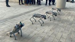 Optima Seguridad implementa de drones, robots cuadrúpedos e inteligencia artificial a la vigilancia