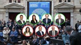 Reforma Ley de Glaciares: así votaron los diputados chaqueños