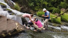 El trabajo analizó comunidades de plantas sumergidas de la familia Podostemáceas, un grupo que crece adherido a rocas en ríos y arroyos de aguas rápidas, típicos de regiones tropicales y subtropicales.
