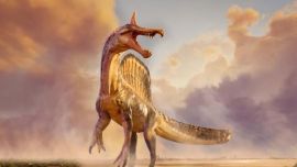 Descubren una nueva especie de Spinosaurus en el Sahara: cómo era y por qué cambia lo que se sabía