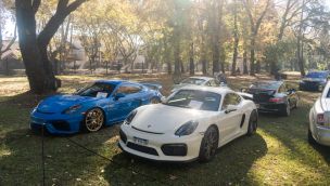 Exóticos en Argentina 