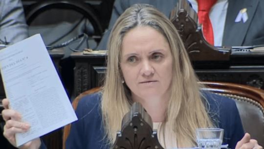 La diputada libertaria de Salta que admitió que usa pasajes del Congreso para su hijo