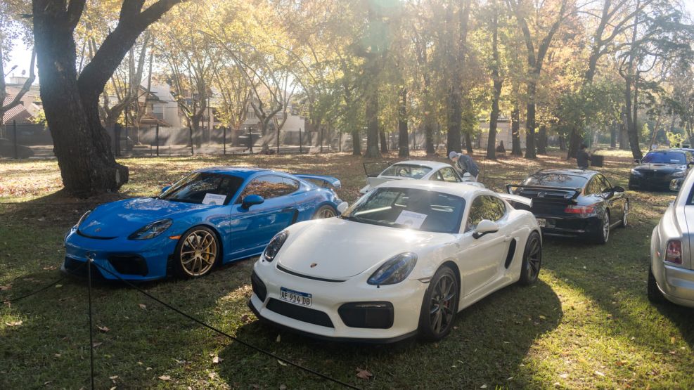 Exóticos en Argentina 