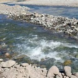 Según estimaciones, el río sufrió una reducción de hasta el 60% de su caudal durante entre 5 y 6 días, lo que generó un estrés considerable en el ecosistema.