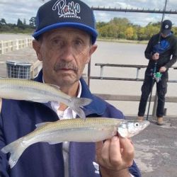 1004_mapa_pique_pesca