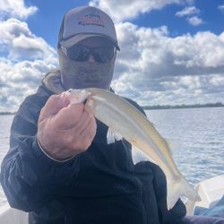 1004_mapa_pique_pesca