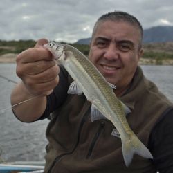 1004_mapa_pique_pesca