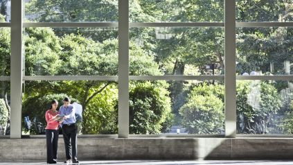 Mercado inmobiliario