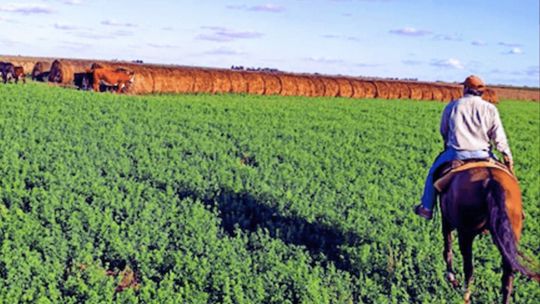 El futuro del agronegocio en la matriz productiva argentina