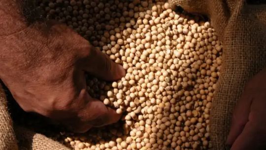 El Gobierno oficializó un nuevo protocolo para proteger la p