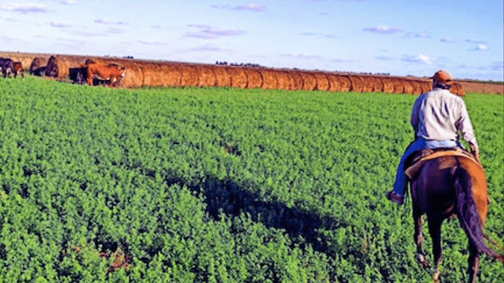 La confianza del campo está en su nivel más alto.