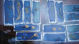 Muestra La Enredadera FiguraFono