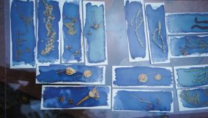 Muestra La Enredadera FiguraFono