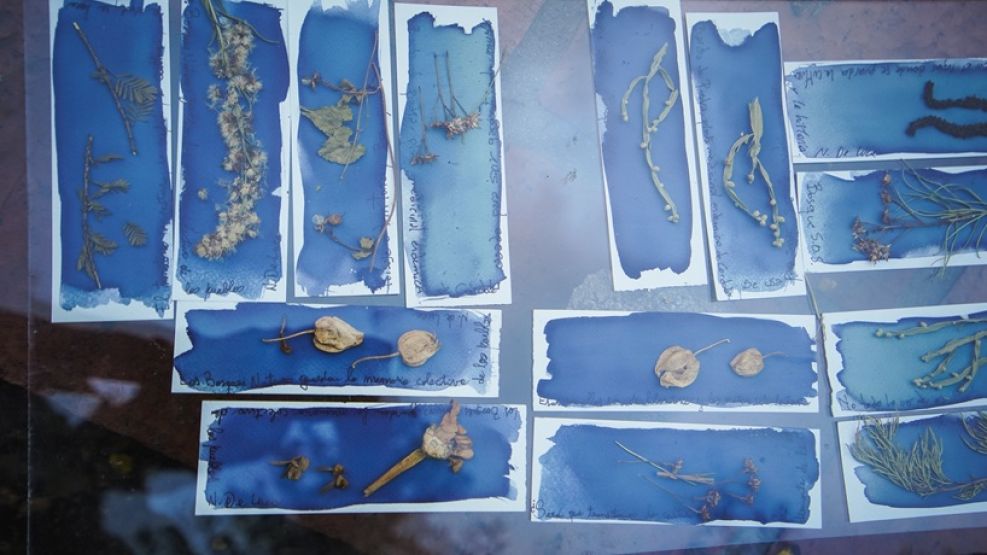 Muestra La Enredadera FiguraFono