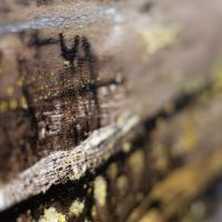 El arte como refugio