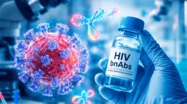 Remisión del VIH tras recibir un trasplante de células madre 13042026