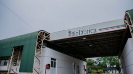 Impacto en las provincias: Misiones disolvió Misiopharma y la integró a Biofábrica "para optimizar recursos públicos"