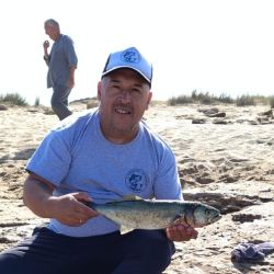 La anchoa ataca con inusitada violencia, ofreciendo combates intensos. Sus dientes filosos pueden cortar nylon con facilidad, por lo que se recomienda el uso de líder de acero, especialmente ante los tamaños que se vienen registrando.