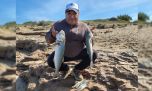 Furor por la anchoa de banco: capturas que entusiasman a los pescadores
