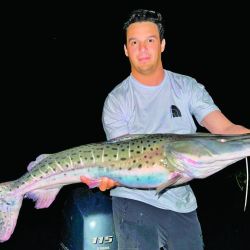 Todo a punto para una semana donde el Paraná manda y más de 1.200 embarcaciones salen a buscar el ejemplar más grande, con esa mezcla rara de adrenalina y amistad que sólo se vive acá.