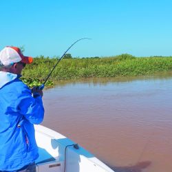 Todo a punto para una semana donde el Paraná manda y más de 1.200 embarcaciones salen a buscar el ejemplar más grande, con esa mezcla rara de adrenalina y amistad que sólo se vive acá.