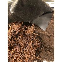 Bioeleven: la suma de diseño, ciencia y producción local para ofrecer materiales sostenibles de excelencia.