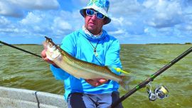 La Salada Grande de Madariaga: fábrica de matungos