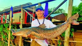 Todo a punto para una semana donde el Paraná manda y más de 1.200 embarcaciones salen a buscar el ejemplar más grande, con esa mezcla rara de adrenalina y amistad que sólo se vive acá.