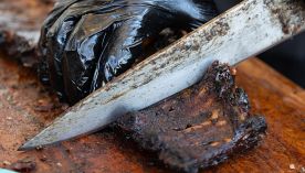 0415_campeonatodelahumado