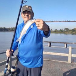 Los resultados muestran algunos ejemplares de buen porte entreverados con piezas chicas, lo que indica que el proceso de arrime recién comienza. Además, se destaca una fuerte presencia de bogas y bagres amarillos, que también toman la carnada destinada al pejerrey.