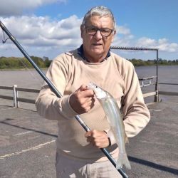 Los resultados muestran algunos ejemplares de buen porte entreverados con piezas chicas, lo que indica que el proceso de arrime recién comienza. Además, se destaca una fuerte presencia de bogas y bagres amarillos, que también toman la carnada destinada al pejerrey.