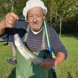 Los resultados muestran algunos ejemplares de buen porte entreverados con piezas chicas, lo que indica que el proceso de arrime recién comienza. Además, se destaca una fuerte presencia de bogas y bagres amarillos, que también toman la carnada destinada al pejerrey.
