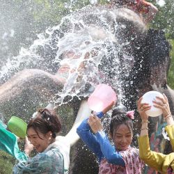 Personas y elefantes salpican agua en celebración del próximo festival Songkran, en Ayutthaya, Tailandia. Songkran también se celebra en Laos, Camboya y Myanmar. Conocida como el año nuevo budista, la festividad se celebraba tradicionalmente visitando a los miembros de la familia y vertiendo agua perfumada sobre las estatuas de Buda. Arrojar agua simboliza lavar la mala suerte del año anterior. | Foto:Xinhua/Rachen Sageamsak