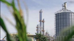 Biocombustibles: entre la promoción estatal y la necesidad de una reforma para ganar competitividad